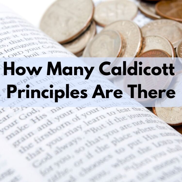 How Many Caldicott Principles Are There?