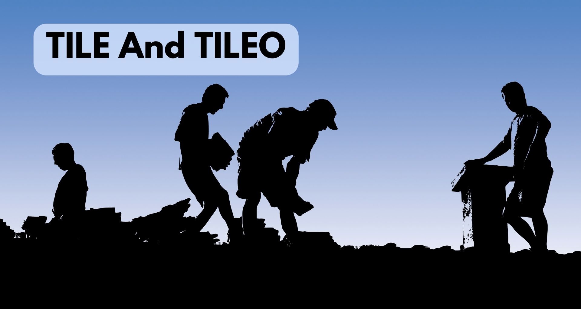 TILE And TILEO: Safe Practices For Manual Handling